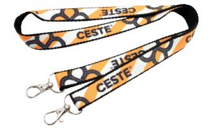 Lanyard