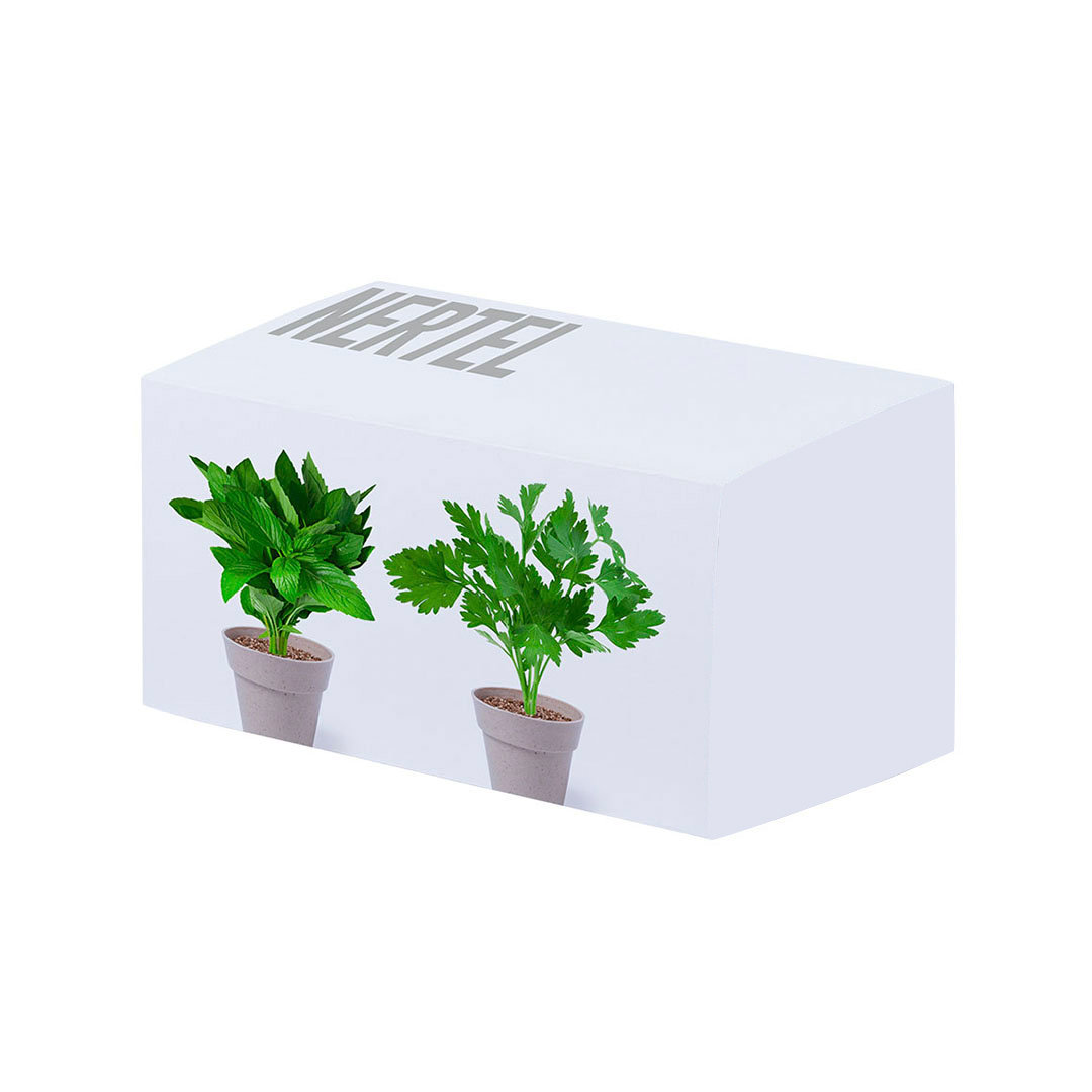 Blumentopf Set