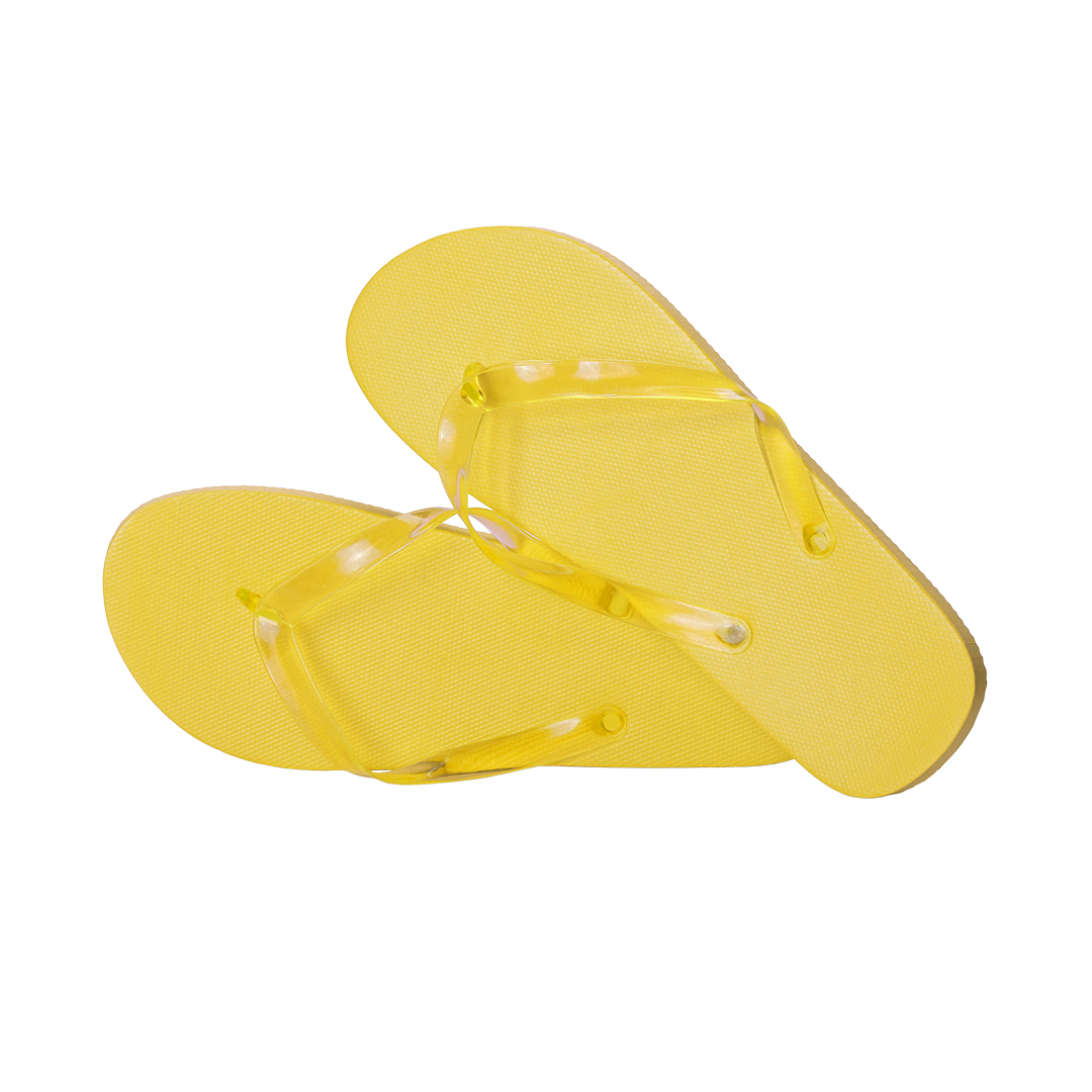 Flip Flop