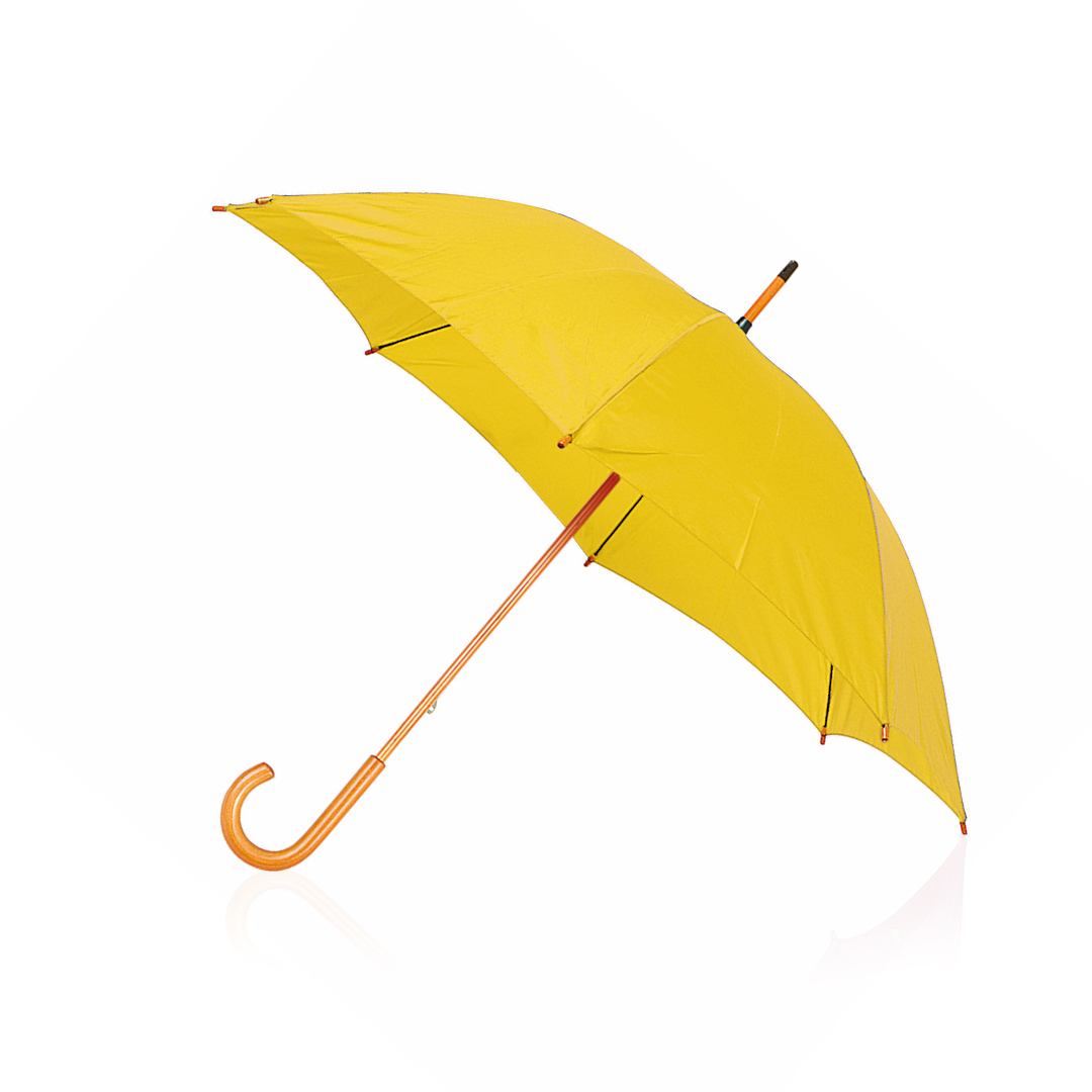 Regenschirm