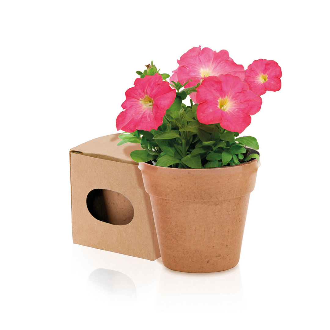 Blumentopf