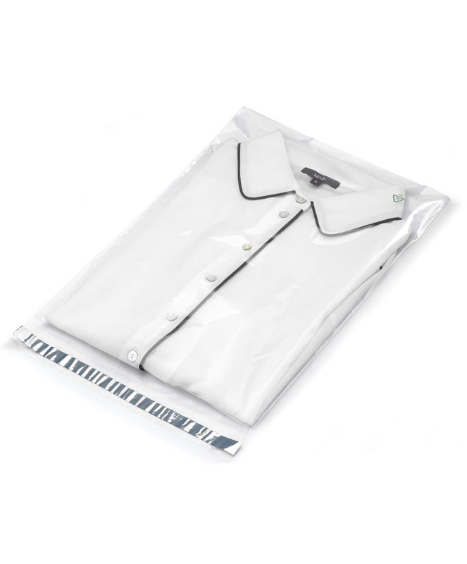 100 Polybags 22x31