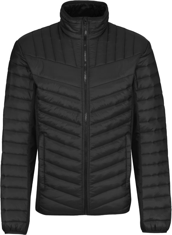 Regatta | TRA529