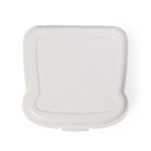 Sandwich Lunch Box