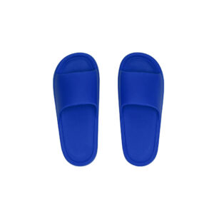 Flip Flop