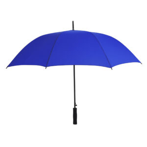 Regenschirm