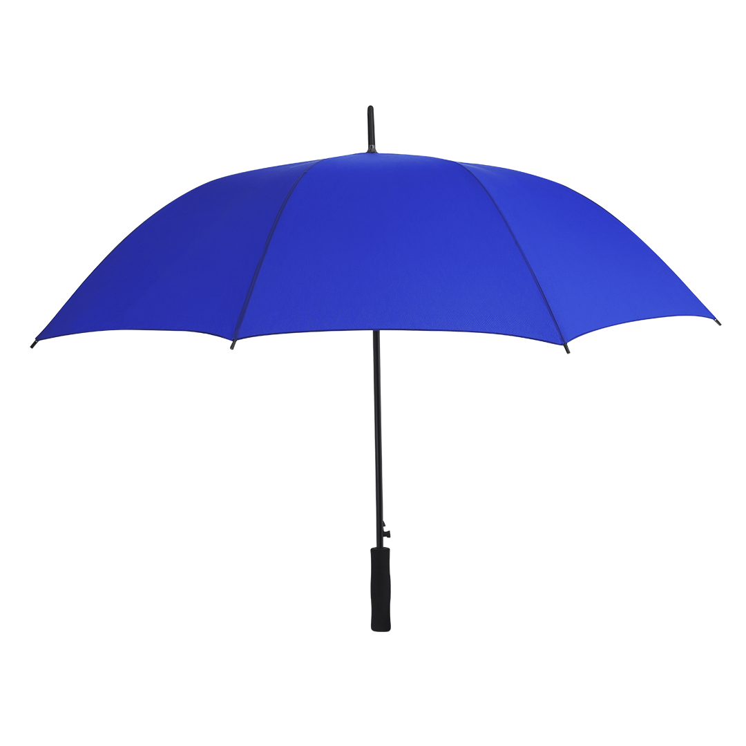 Regenschirm