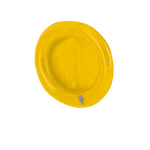 Frisbee-Pad